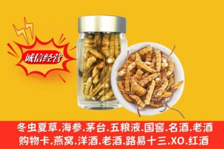 绿春县回收散虫草
