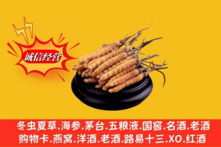 绿春县求购回收虫草多少钱每克